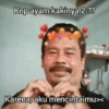 Jomok bucin (z6p9yfdgqx)