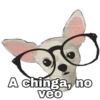 Chihuahuas random (n3rvspfz5m)