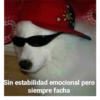 ☠️MEMES🍿 (9y4bqfv2zn)
