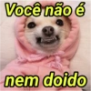 Animais fofos 333💗 (2bw6m8z5jq)