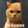 😃Memes Random🤣 (qzx5md2stc)