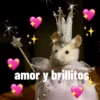 😃Memes Random🤣 (j786xnb4cr)