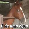 🐎〰️O coice vem (csndr7tjk2)