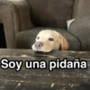 😃Memes Random🤣 (69cgwsmfk2)