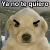 😃Memes Random🤣 (f7zsyjhp5b)