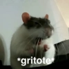 😃Memes Random🤣 (9j26cfzpn7)