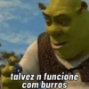 🐎〰️O coice vem (3ns9hqvr2f)