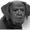 😃Memes Random🤣 (v7s8g39htn)