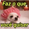 Animais fofos 333💗 (rdf4zjc35y)
