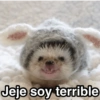 😃Memes Random🤣 (zwh2p6jqk3)