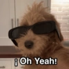 😃Memes Random🤣 (jgx7zfp6yb)