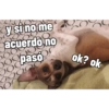 Juanito Chihuahua (dc4wyhxmgz)