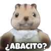Animalitos chiquitos🫶🏻 (hgp5fxrts9)