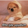 Turkish memes (628jkf79wz)