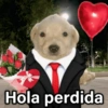🐶🐱🐵 ANIMALITOS 2 🐵🐱🐶 (z7p92jmgvq)