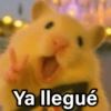 🐶🐱🐵 ANIMALITOS 2 🐵🐱🐶 (2fyd9vrwp5)