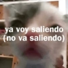 🐾🐱🐈 Gatitos :v 🐈🐱🐾 (w5n6jxvcyz)