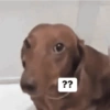 🤑 memez 🤑 (v9ygdtp6rm)