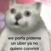 🐾🐱🐈 Gatitos :v 🐈🐱🐾 (4d7wvzjcyn)