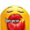 Whisper Turkish 1 (rsvyw5637j)