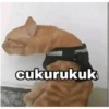 Cukurukuk (bxhswfyp35)