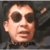 AEA peter