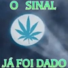 ميمز مخدرة 🍁 (pfz9nw3chk)