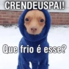 Memes de Frio | Inverno 🥶❄️ (ztv532brnj)