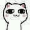 وجه قطة