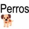 Frases para chat 2 (jpf5mk7tv3)