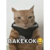 Cukurukuk (g6z8fmvw3d)