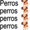 Frases para chat 2 (mvwpc8rhjx)