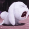 💕🐇 Conejito Mood 🐇💕 (yf4c38g7hb)