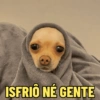 Memes de Frio | Inverno 🥶❄️ (qxcfyw5bdh)