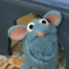 💙•🐭 Tutter 🐭•💙 (yh47fc39pr)