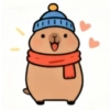 🧿 Capibaras cute✨♥️