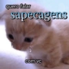 Sapecagem?! (b9q57cjfhm)