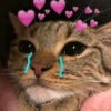 حزين (76g3zbty5s)