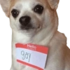 Stickers para responder  (kdybqfs6n8)