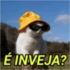 ESSAS VÃO TE AJUDAR (8fjcqpwzn3)