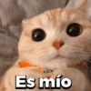 Michitos 2 🐱🐈 (pymfn35vch)