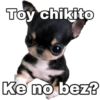 Chihuahuas random (85j4zhrtsq)