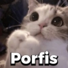 Michitos 2 🐱🐈 (q23zwkf9ds)