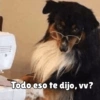 كلاب للدردشة 🐕 (z3wmjydxpb)