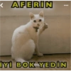 komik yazılar 𖹭.ᐟ (k2s6z9vjfq)