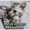komik yazılar 𖹭.ᐟ (tgrd652y9m)