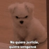 كلاب للدردشة 🐕 (7wdq9k84gy)