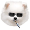 🚬 Emoji fumando (shitpost) (ctkxyb3v79)