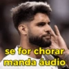 Send Audio