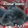 Michis expresivos 🐈🐱 (6sz2vc7gwp)